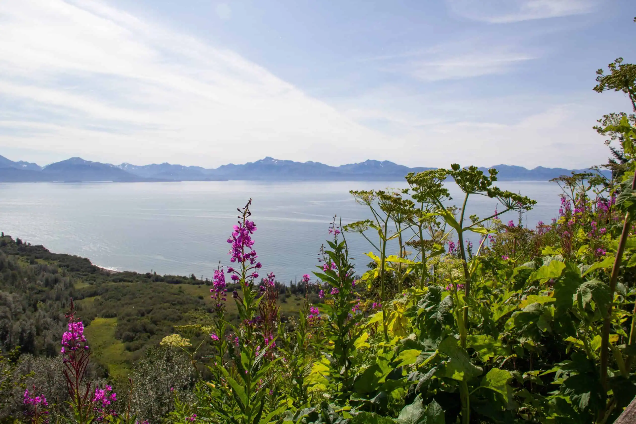 알래스카의 20 개의 놀라운 버킷리스트 경험 [무료 다운로드!]