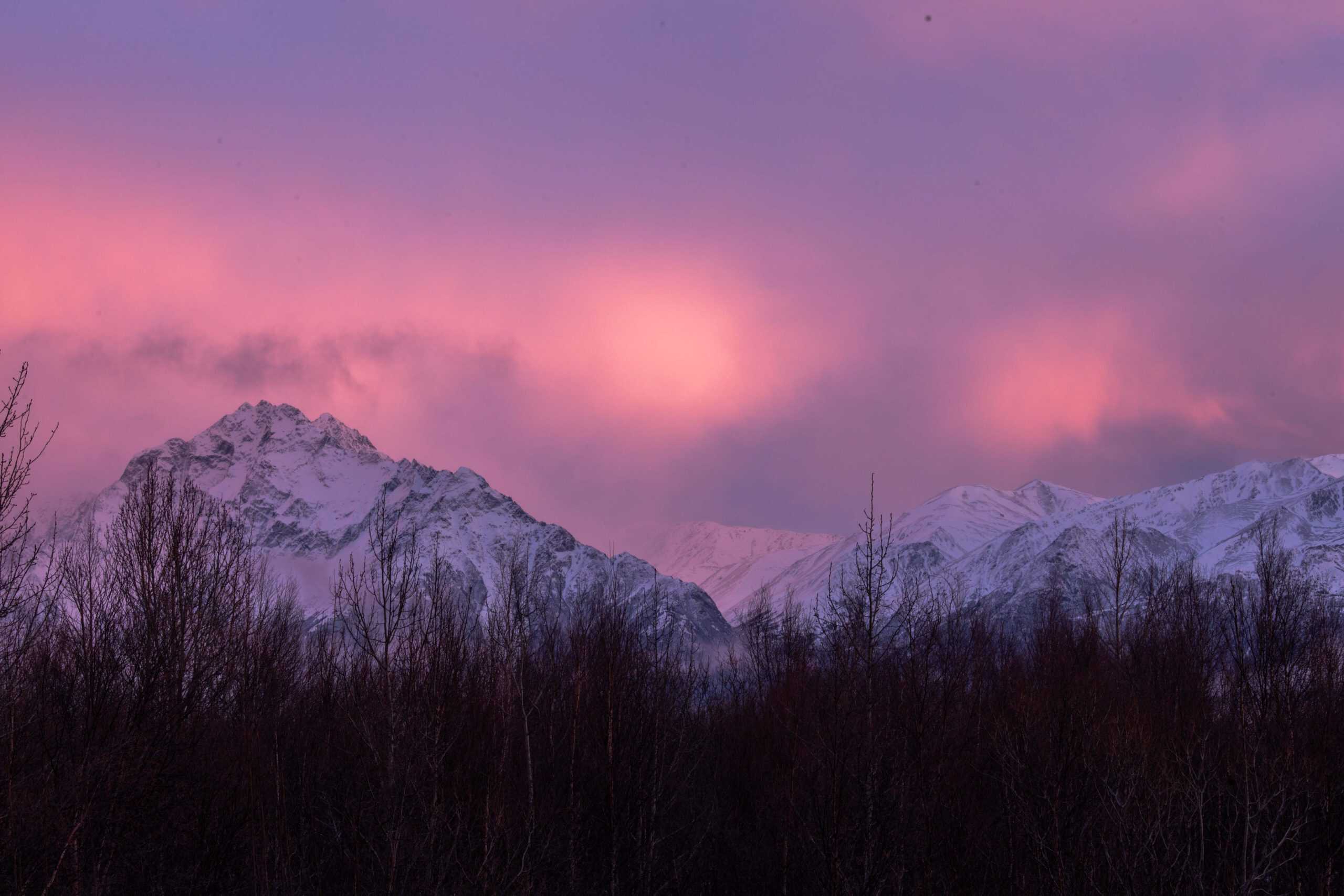 서사시 7 일 알래스카 겨울 여정 : 하이라이트