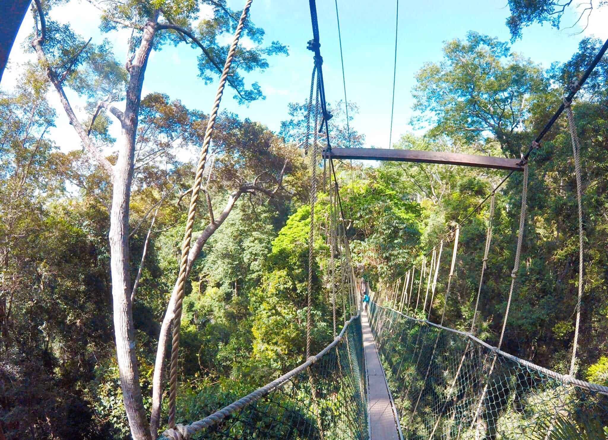 말레이시아 타만 네가 라에서 부족, 나무 집과 트레킹