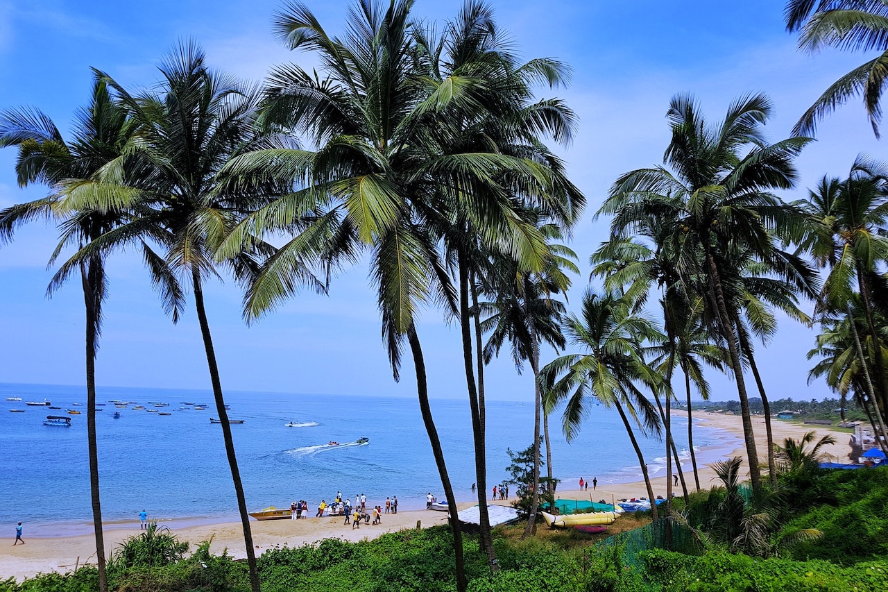 새해를 축하하기위한 인도 최고의 장소