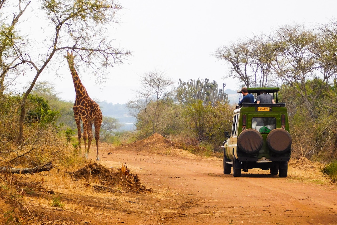 르완다의 Akagera National Park 방문을위한 팁