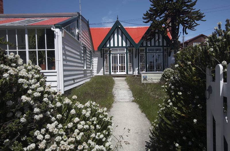 포클랜드 제도 크루즈