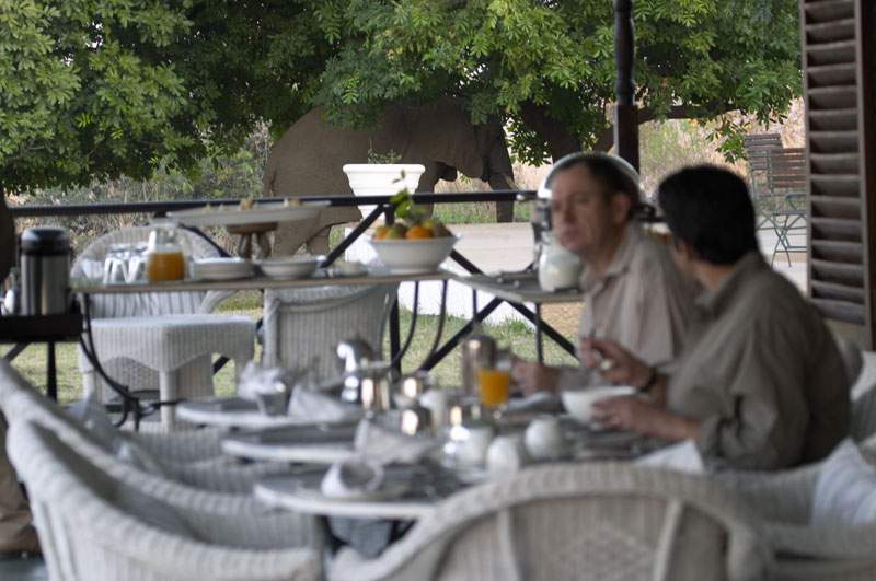 South Luangwa National Park 