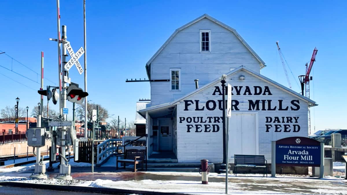 아르바다에서 할 수있는 17 가지 멋진 일, 공동