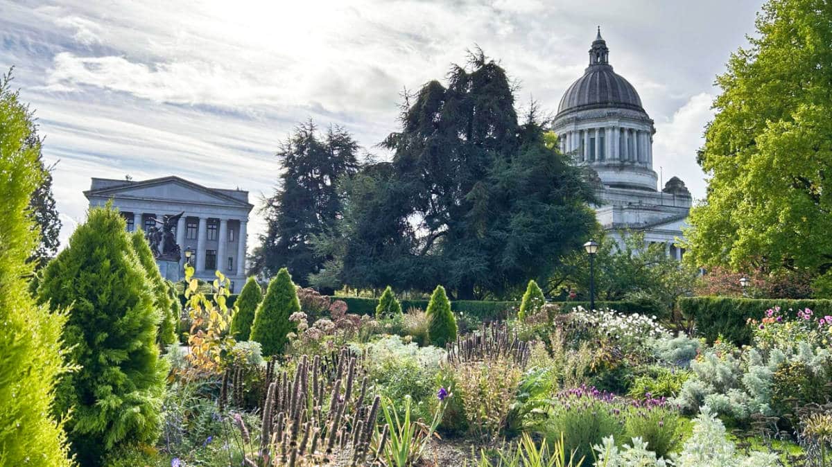 올림피아에 머무는 곳 (최고의 장소 및 지역)