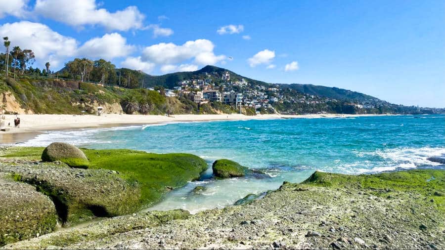 캘리포니아 Laguna Beach에서 할 수있는 24 개의 독특하고 멋진 일