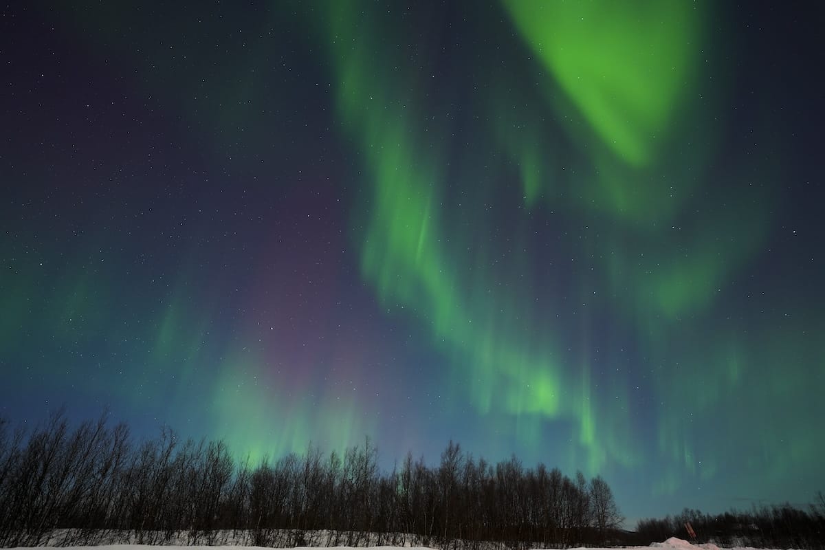 겨울의 키루나에서 할 15 가지 스릴 넘치는 일 (2024-2025)