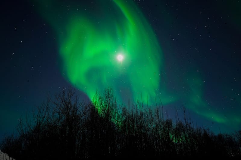 Kiruna에서 최고의 오로라 라이트 투어를 예약하는 방법 (+ 팁)