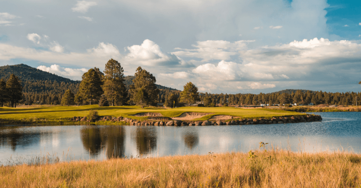 이 매력적인 애리조나 마을에서 빈티지 분위기를 경험하십시오