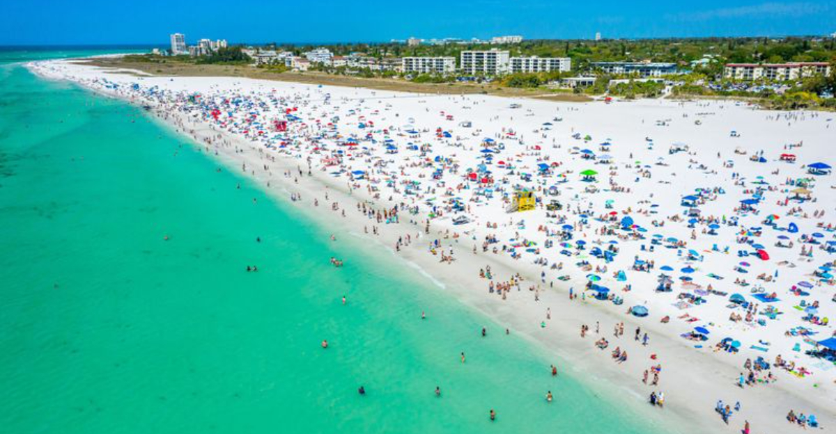 여름 버킷리스트에 자리가있는 동해안 해변 25 개