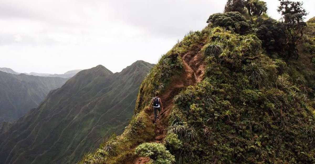 8 개의 야생 장소는 두 번째 + 7에 다시 용감한 곳이었고 이유가 있습니다.
