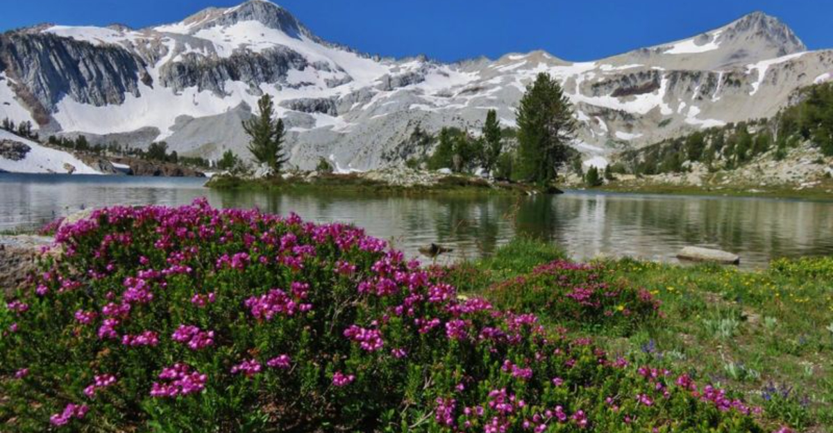 오레곤의 숨겨진 야외 보석 베이커 시티에있는 15 개의 반점 반점
