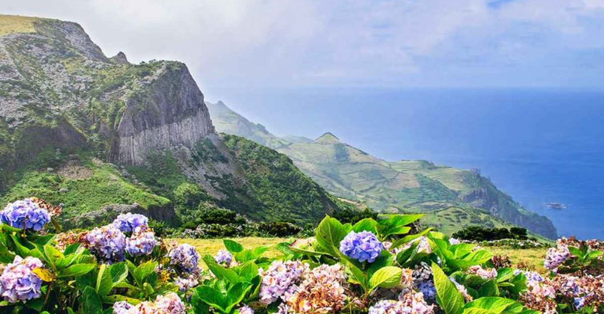 15 개의 비밀 장소는 빈번한 여행자가 스스로를 유지합니다