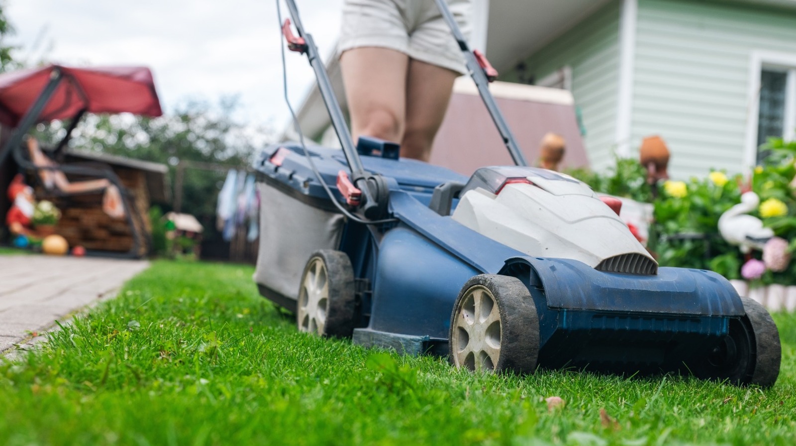 전기 모어에 대한 최고의 거래는 여름에 맞춰야합니다.