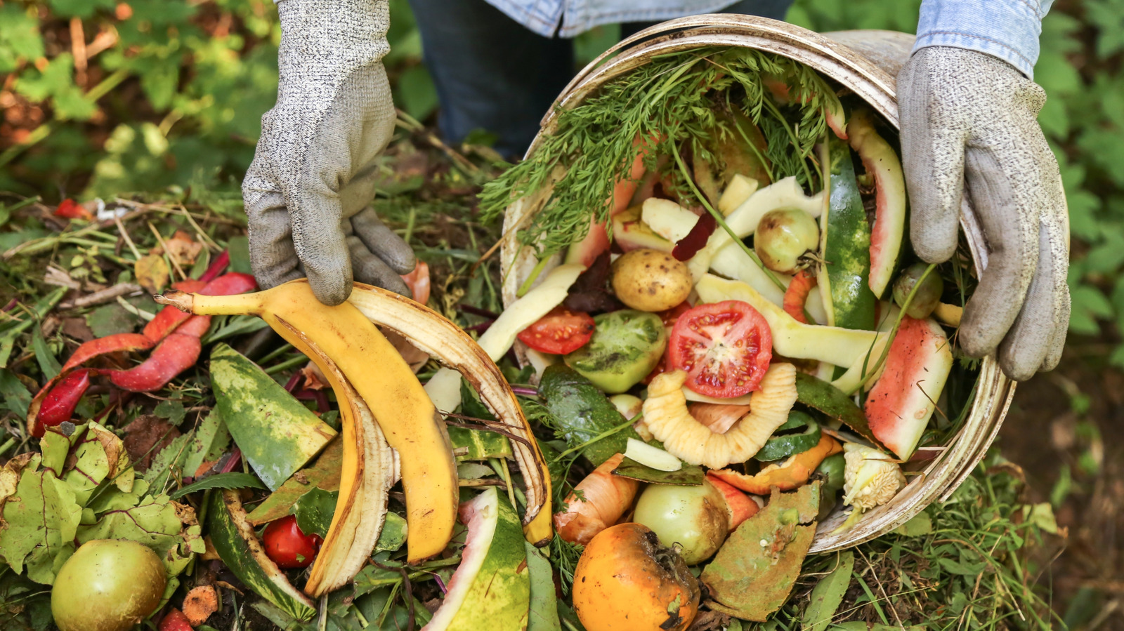 시간이나 공간이 부족한 경우 퇴비화 가장 쉬운 방법