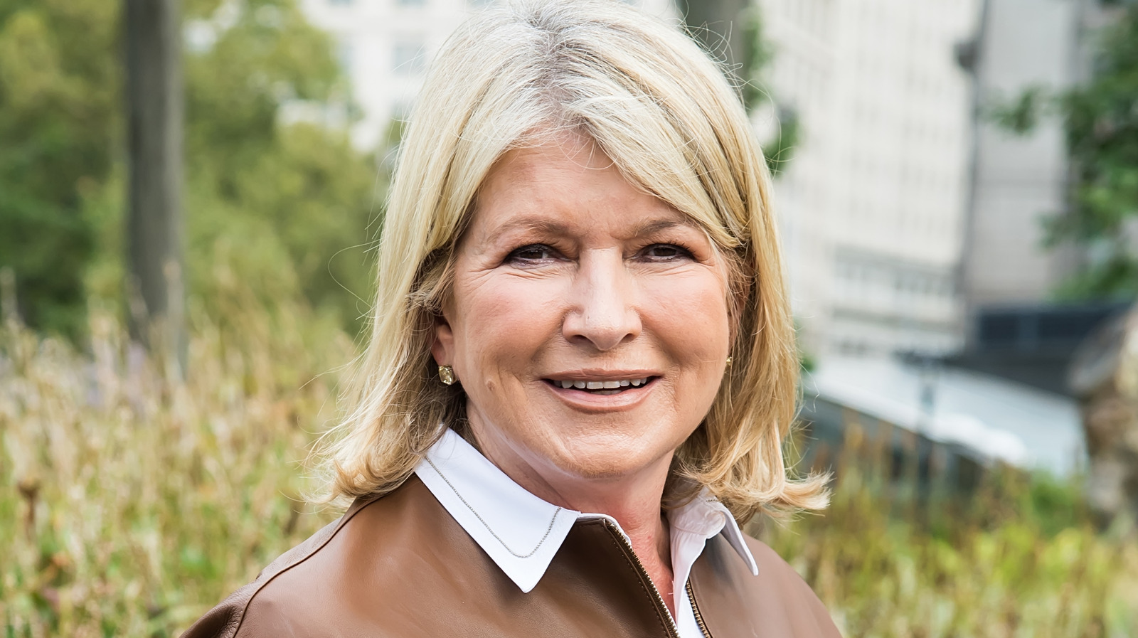 번성하는 수국을위한 Martha Stewart의 이식 방법을 사용해보십시오